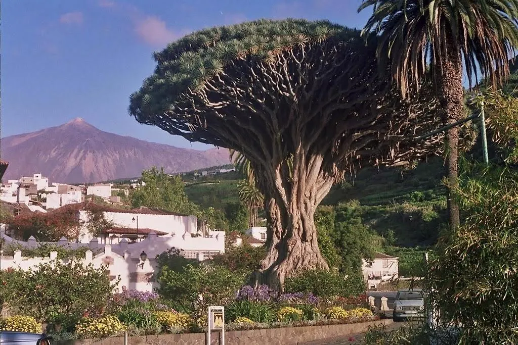 Villa Violeta La Laguna  0*, La Laguna (Tenerife) España